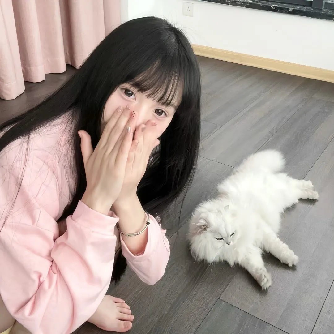 爱的保镖 在线观看